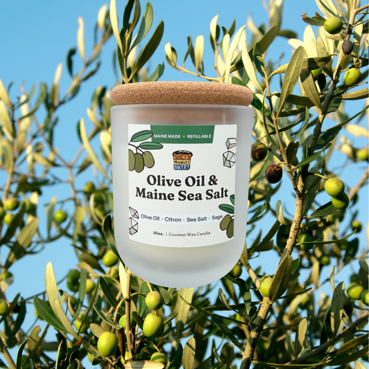 Olive Oil & Maine Sea Salt Candle