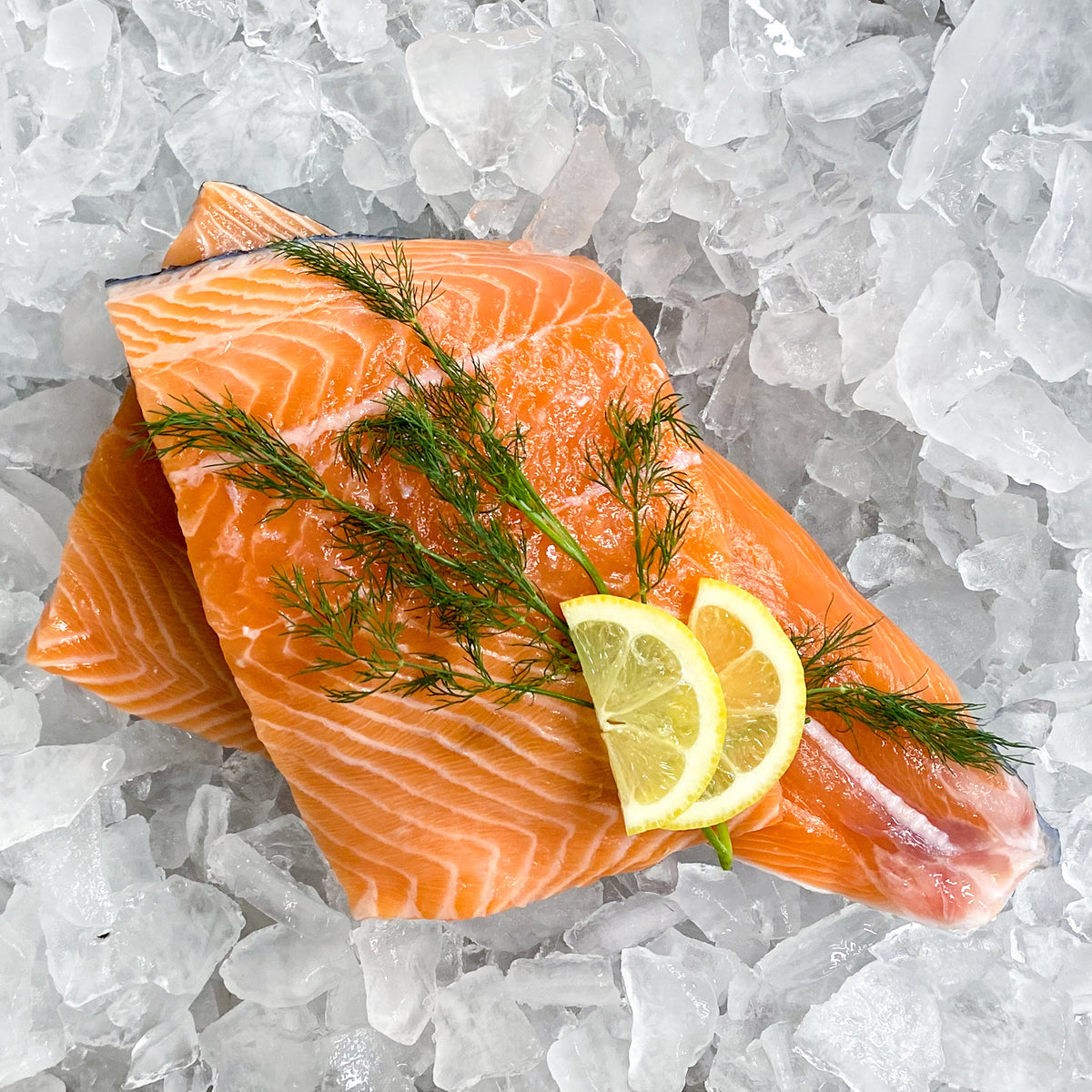 Wester Ross Salmon