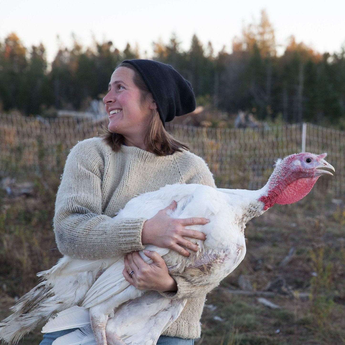 Organic Free-Range Turkey, Maine-Raised, $6.99/lb. ($35 Deposit)