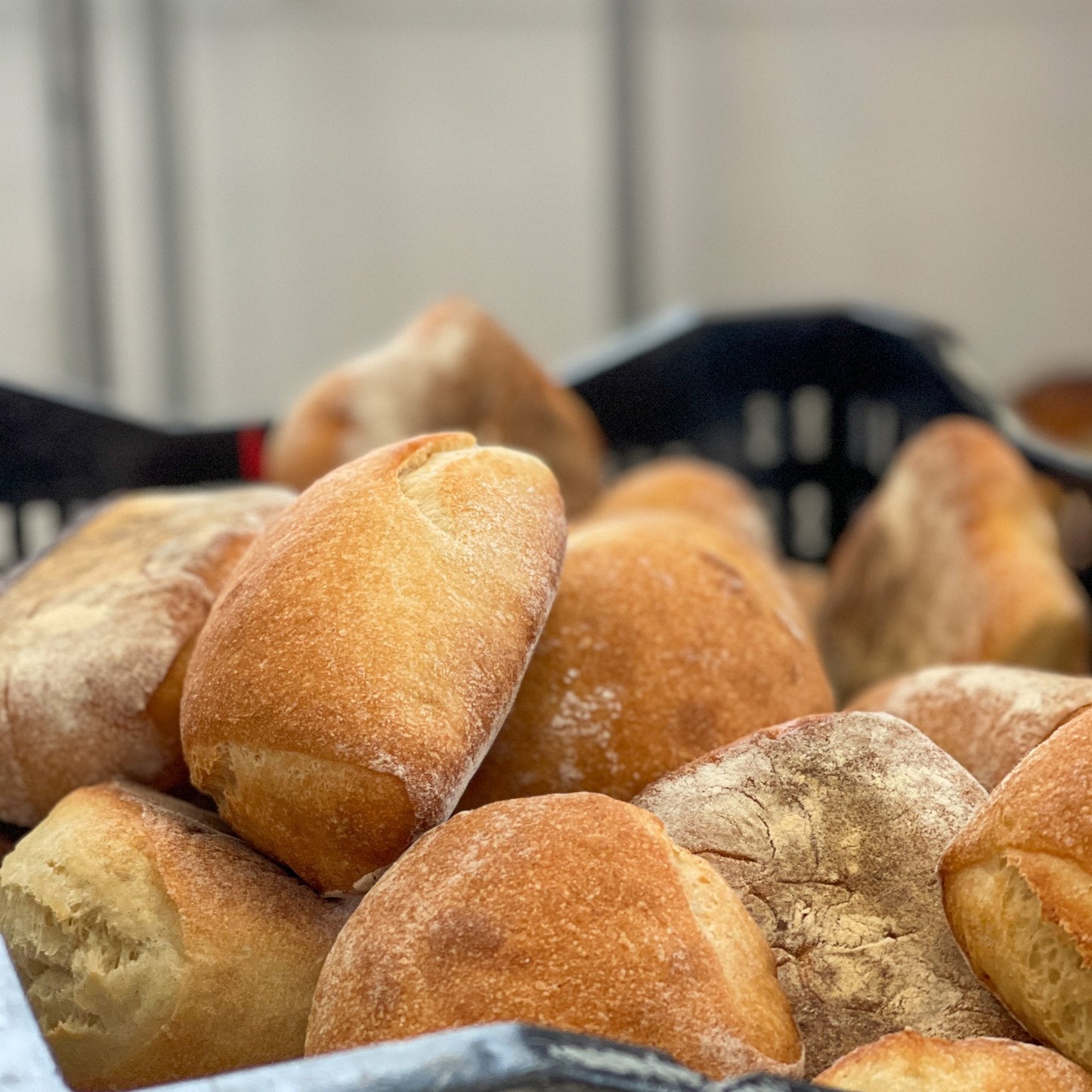 Semolina Rolls (Bag of 4)